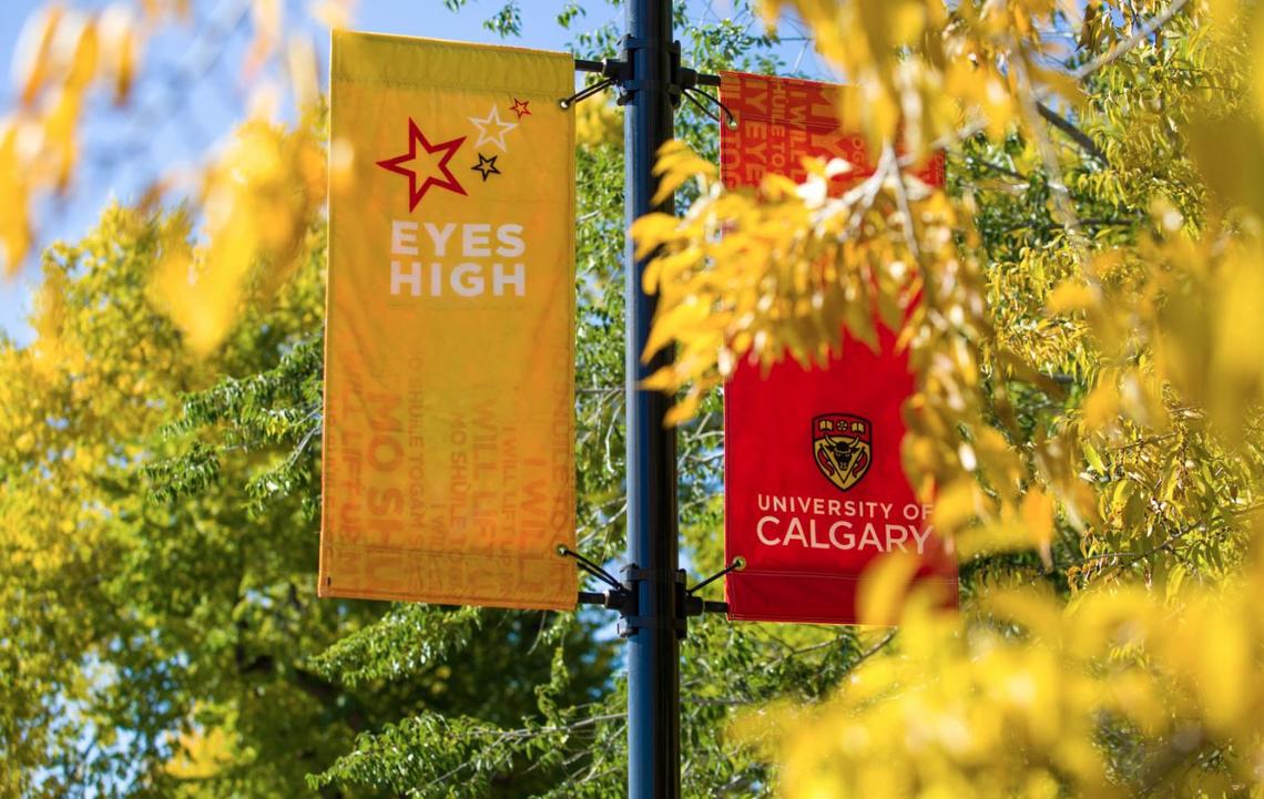 Two University of Calgary-led research teams have been successful in this Government of Alberta grant competition.