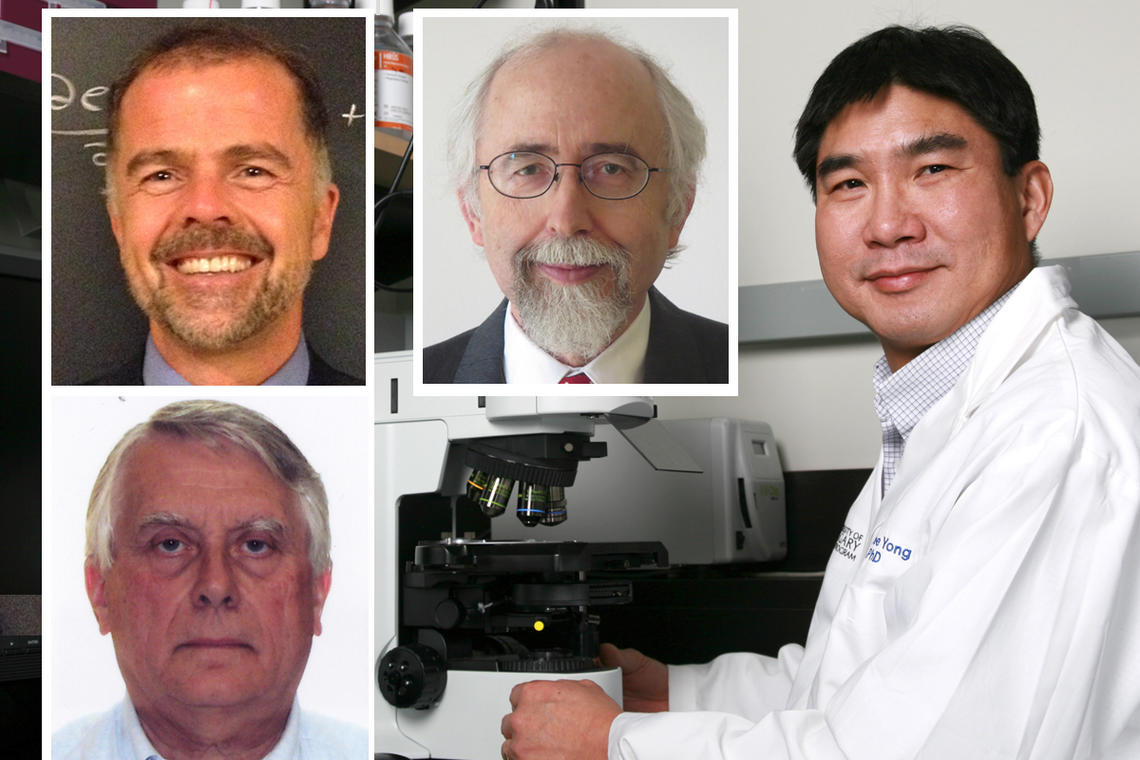 Joining the ranks of Royal Society fellows — elected by peers as the best in their field — from the University of Calgary are, clockwise from top left: Scott Taylor, Przemyslaw Prusinkiewicz, Dr. V. Wee Yong, and Jos Eggermont.  