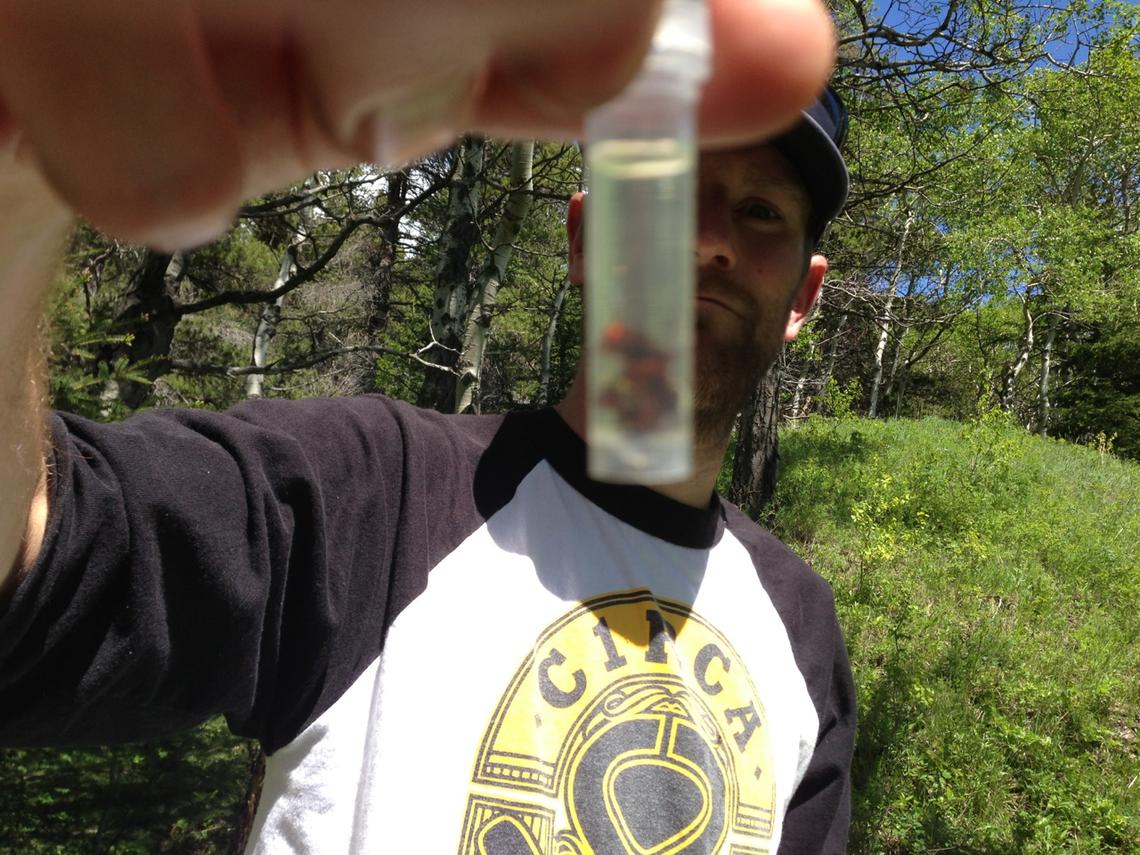 Brad van Paridon collects samples in the field for the parasite study.