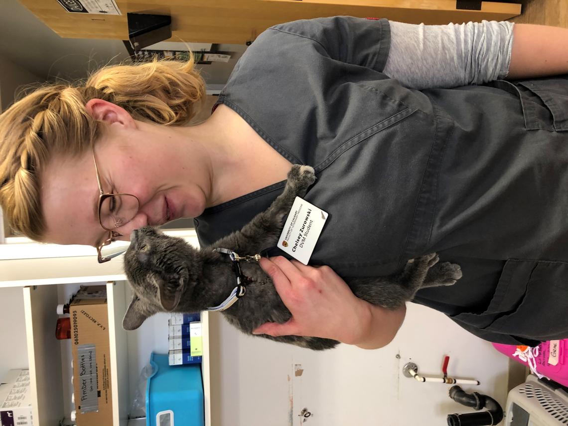 Chelsey Zurowski learned first-hand during vet school that committing to self-care is vital for mental and physical wellbeing. And cuddling kittens can't hurt. 