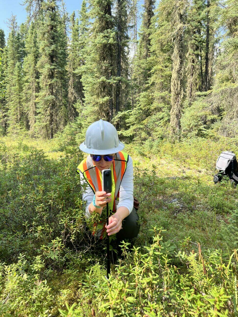 Photo of Tanya Yeomans doing her fieldwork in a forest.