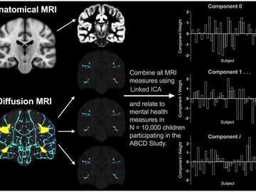 MRI mental health data