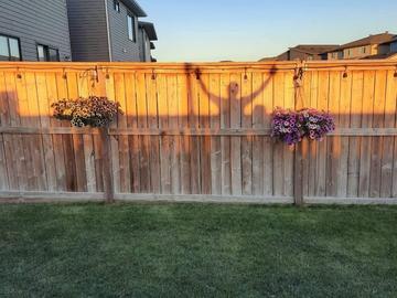 The shadow of a person with outstretched arms on a sunlit fence. Green grass in the foreground, blue sky in the background.