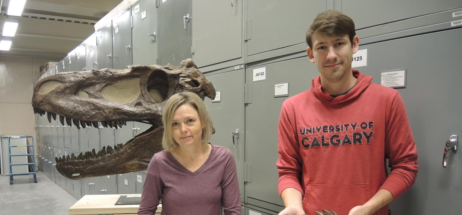 Dr. Darla Zelenitsky, PhD, and Jared Voris, PhD student are pictured with tyrannosaurid fossils at the Royal Tyrrell Museum.