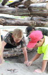 Campers collaborate to build structures from a variety of natural materials. Photo by Danielle Chicoine, Faculty of Kinesiology