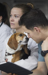 Dog and vet med student share a moment