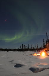 Aurora borealis appearing over Prospect Lake, near Yellowknife NWT