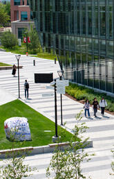 UCalgary campus