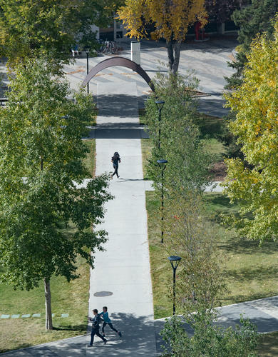 UCalgary campus in fall